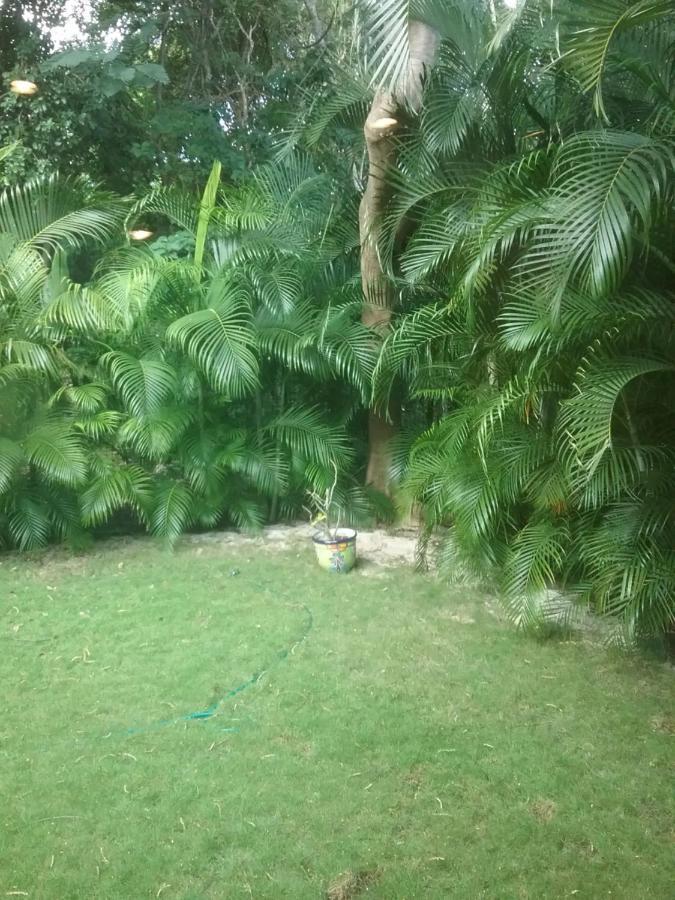 プレヤデルカーメン Casa Rioja Playacar Bed & Breakfast エクステリア 写真